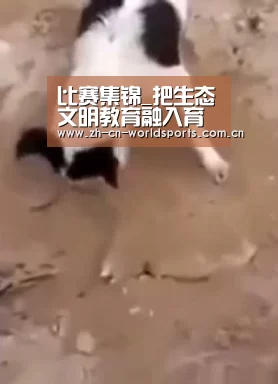 比赛集锦_把生态文明教育融入育人全过程(图1) 实时比分