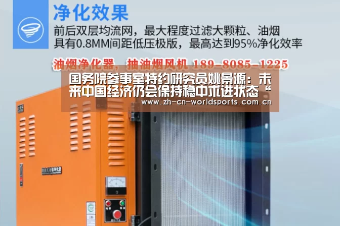 国务院参事室特约研究员姚景源:未来中国经济仍会保持稳中求进状态“比赛集锦”(图2) 实时比分