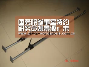 国务院参事室特约研究员姚景源:未来中国经济仍会保持稳中求进状态“比赛集锦”(图4) 世界杯