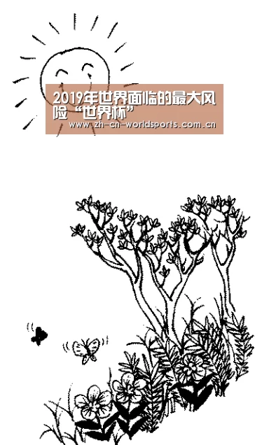 2019年世界面临的最大风险“世界杯”(图3) 实时比分