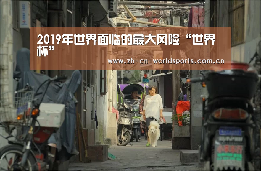 2019年世界面临的最大风险“世界杯”(图2) 比赛集锦
