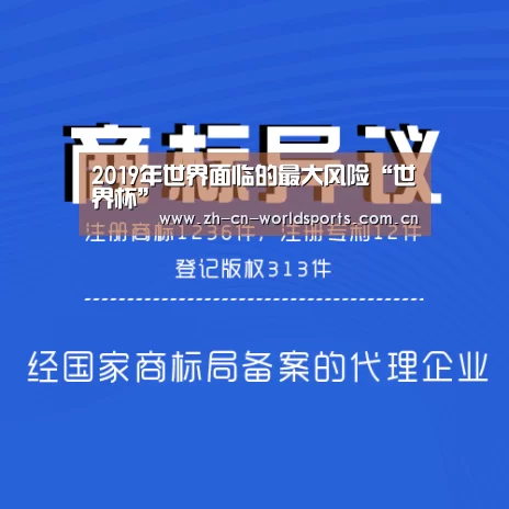 2019年世界面临的最大风险“世界杯”(图4) 实时比分