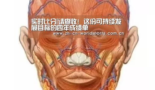 实时比分|请查收! 这份可持续发展目标的四年成绩单(图1) 实时比分