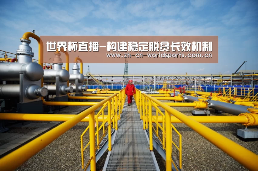 世界杯直播-构建稳定脱贫长效机制(图3) 比赛集锦