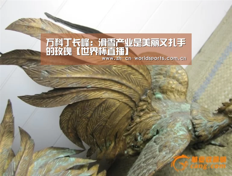 万科丁长峰:滑雪产业是美丽又扎手的玫瑰【世界杯直播】(图2) 世界杯直播