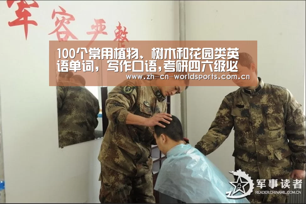 100个常用植物、树木和花园类英语单词,写作口语,考研四六级必备-比赛集锦(图4) 世界杯