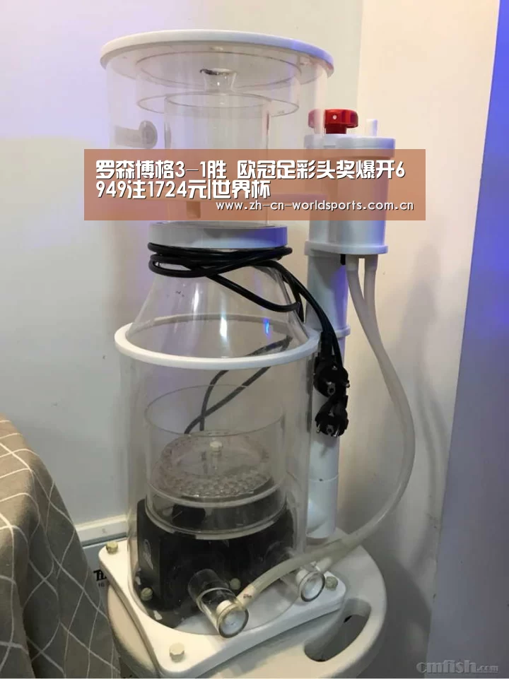 罗森博格3-1胜 欧冠足彩头奖爆开6949注1724元|世界杯(图3) 实时比分