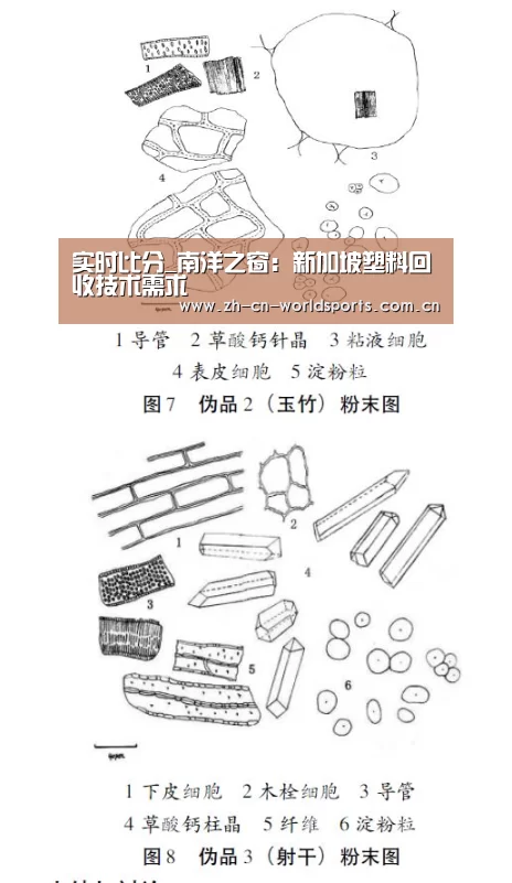 世界杯直播