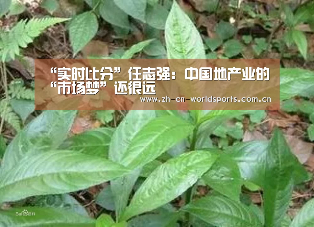 “实时比分”任志强:中国地产业的“市场梦”还很远(图1) 比赛集锦