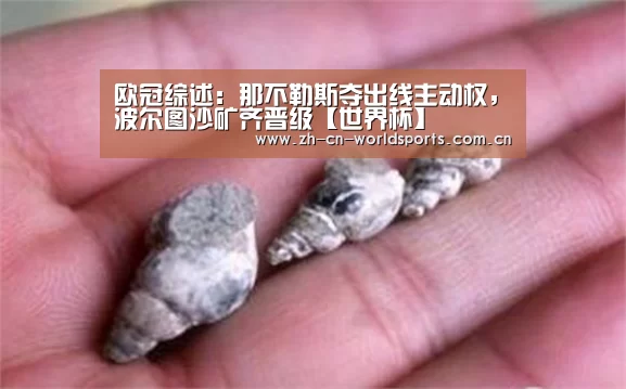 比赛集锦